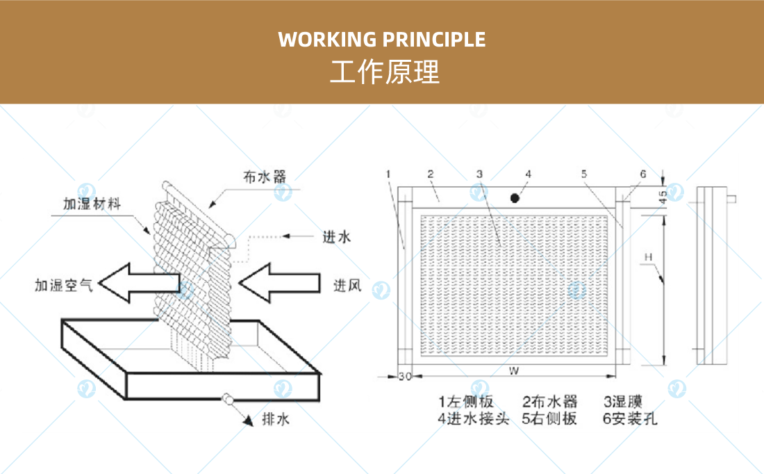 詳情頁(yè)2_畫(huà)板 1 副本 18.png